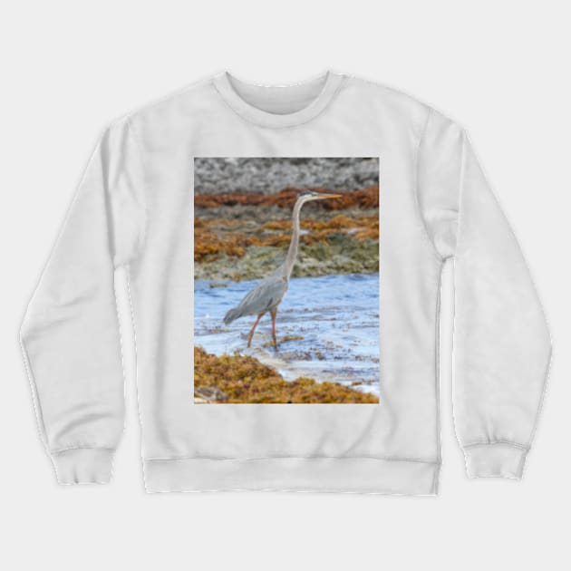 Heron Crewneck Sweatshirt by Femaleform